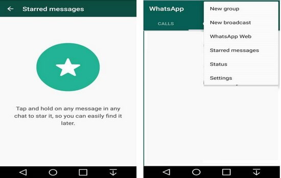 WhatsApp Starred Messages